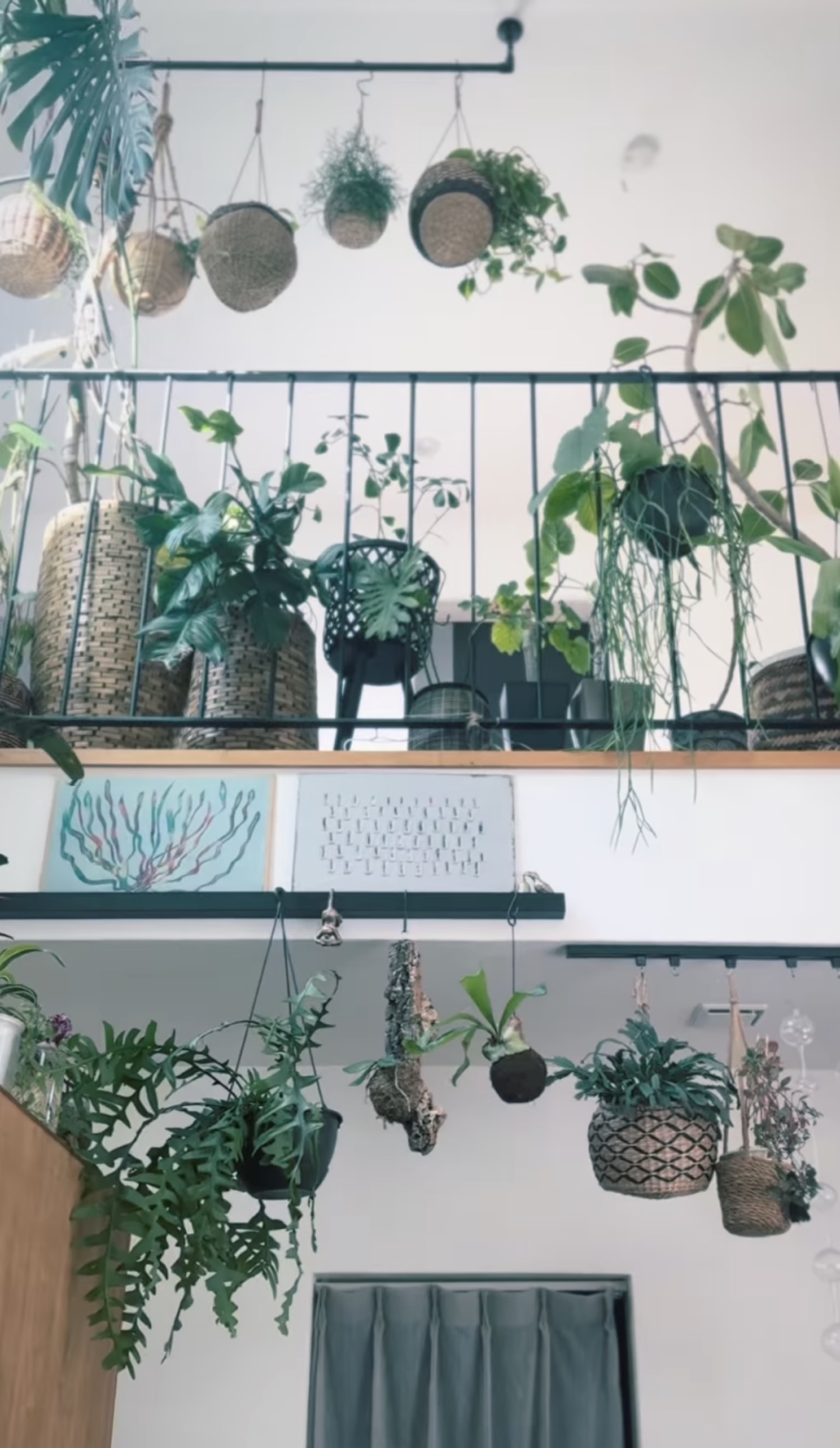 吹き抜けに並ぶ植物