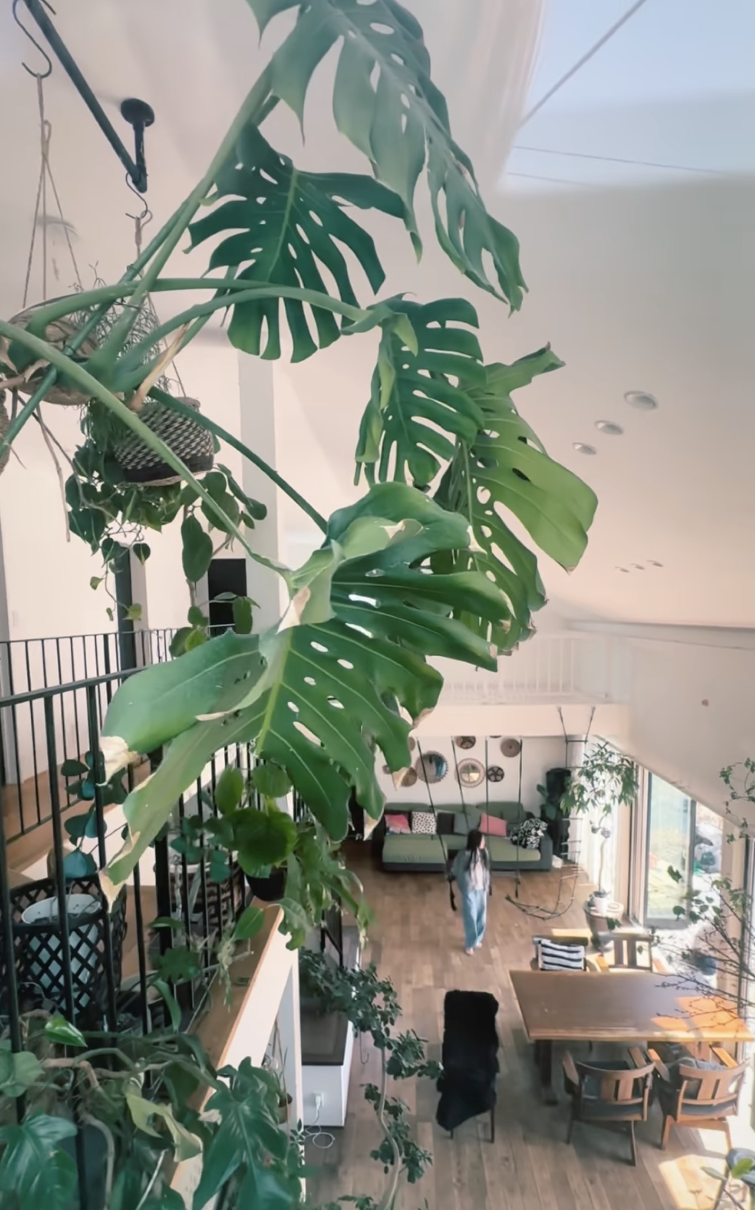 植物越しに見える吹き抜けリビング